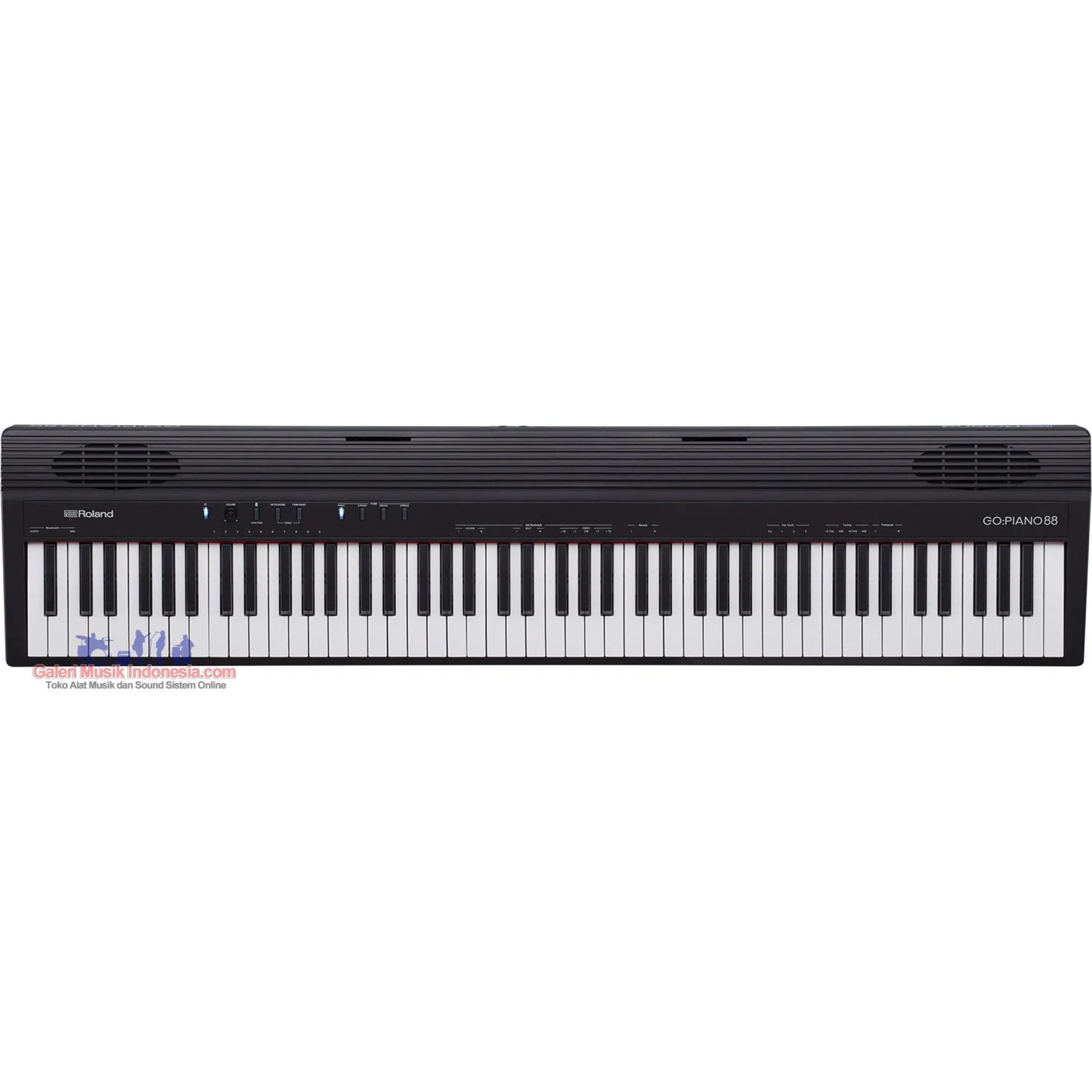 Roland GO PIANO GO 88P 88 Key Portable Digital Piano with Bluetooth Speakers