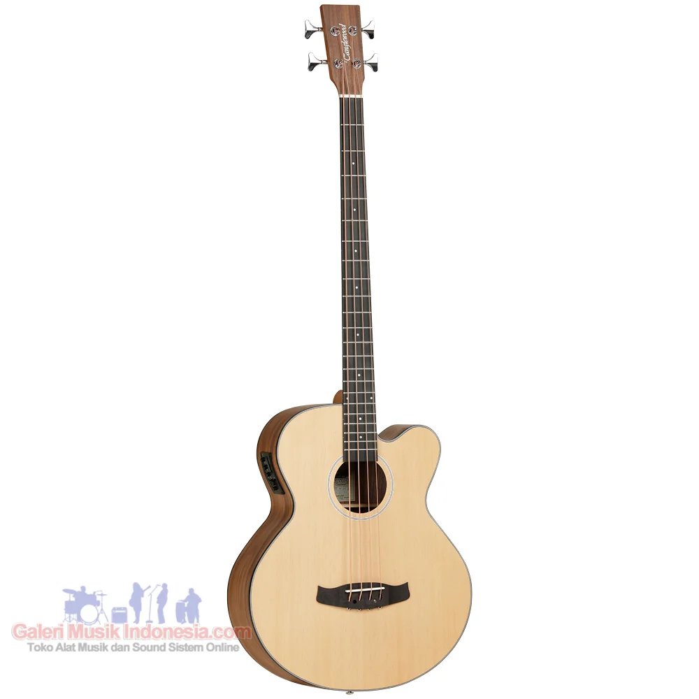 Tanglewood DBT AB BW Acoustic Electric Bass with Bag