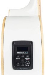 Tanglewood TW4 E BLW Acoustic Electric Guitar w/ Bag