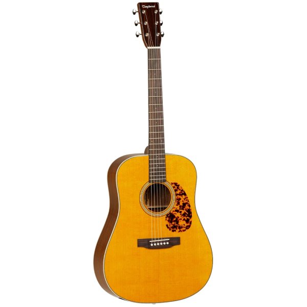 Tanglewood TW40 D AN E Dreadnought Acoustic Electric Guitars w/ Case