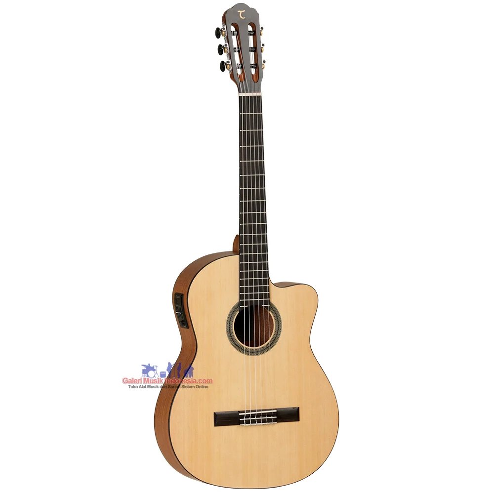 Tanglewood TWCE2 Winterleaf Classical Cutaway / Electric