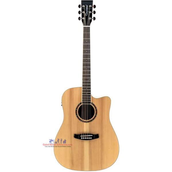 Tanglewood TWK DCE Kensington Dreadnought Acoustic Electric Guitar with Bag and free Elixir Strings