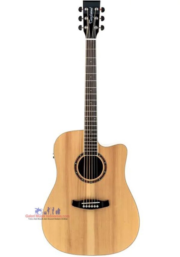 Tanglewood TWK DCE Kensington Dreadnought Acoustic Electric Guitar with Bag and free Elixir Strings