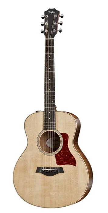 Taylor GS Mini Rosewood Acoustic Guitar with Gigbag 