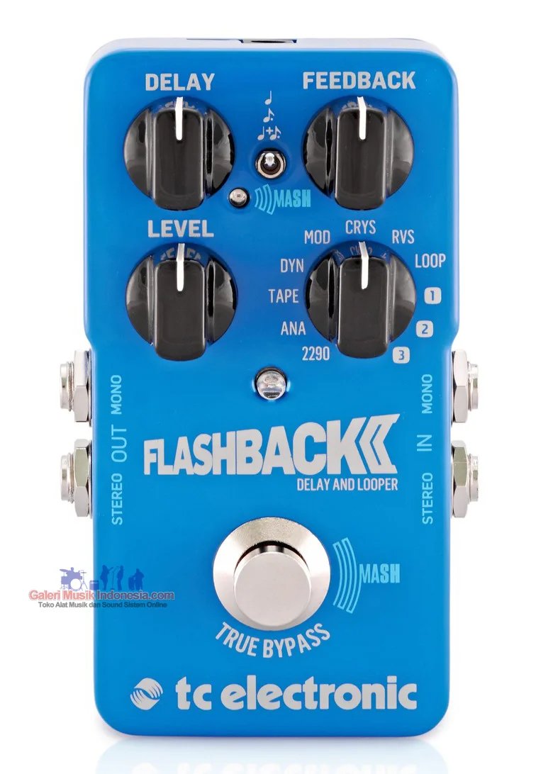 TC Electronic Flashback 2 Delay and Looper Pedal